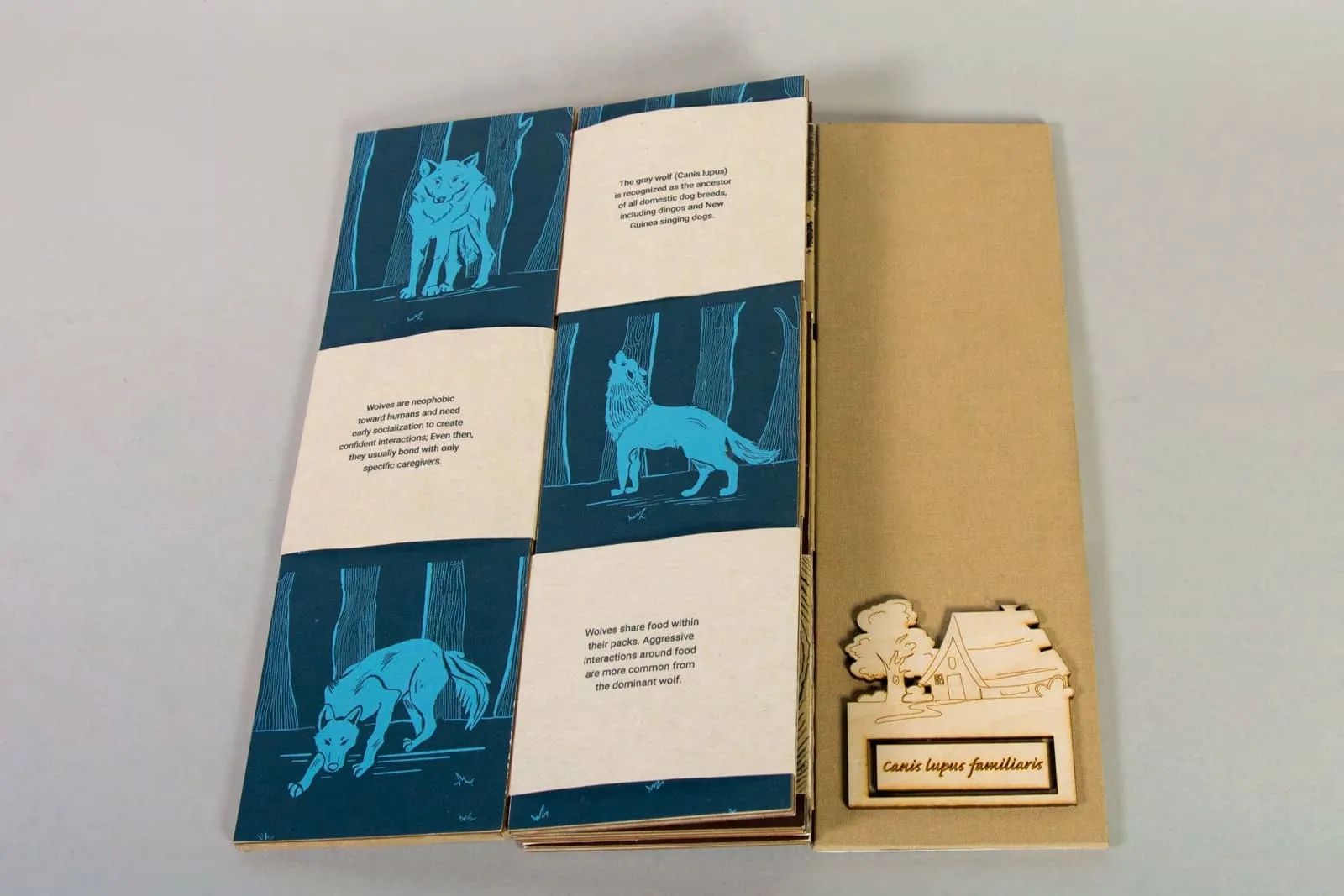 Canidae
